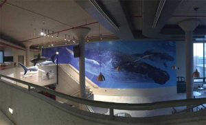 Sign Systems winner - image 1