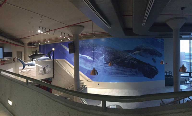 Sign Systems winner - image 1