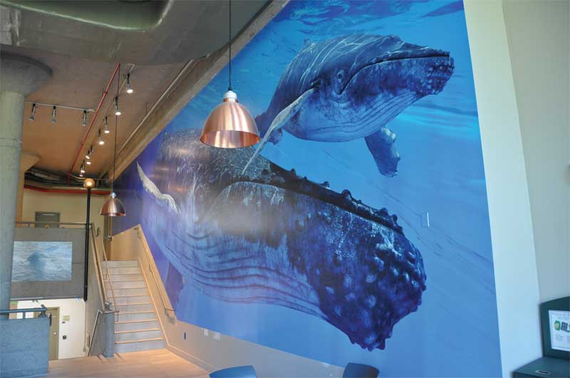 Sign Systems winner - image 2